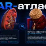 Анатомия через камеру смартфона: в Сеченовском Университете создают AR-атлас органов человека