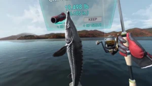 Лучшие VR-игры про рыбалку: 10 причин поверить, что сейчас точно клюнет
